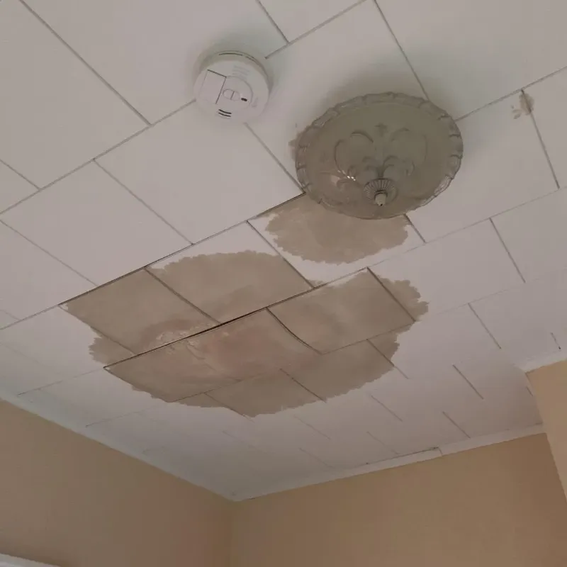 Ceiling Water Damage Repair in Blackstone, VA