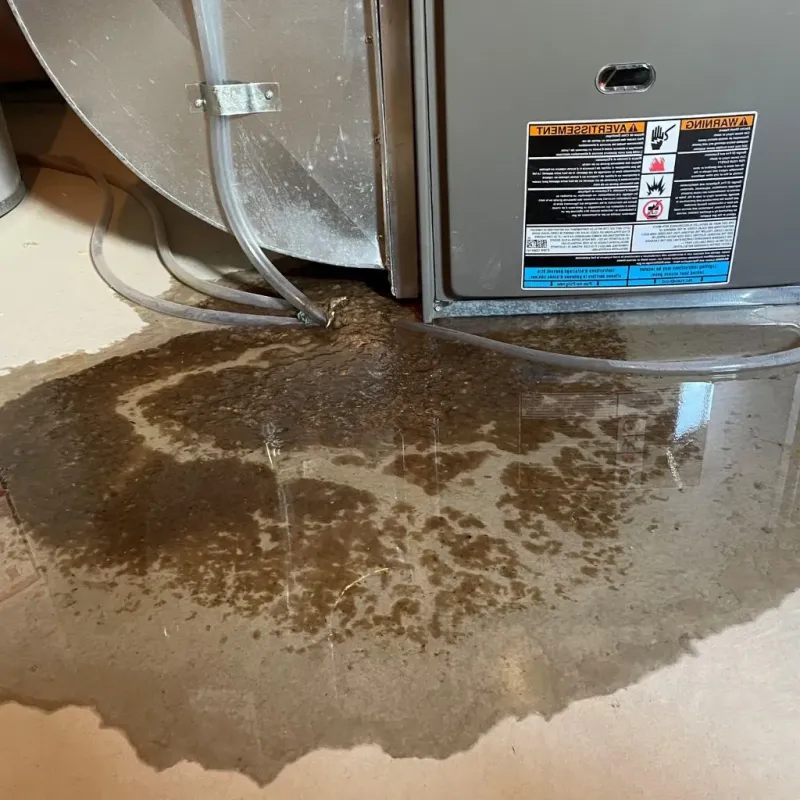 Pipe Burst and Leak Restoration in Blackstone, VA
