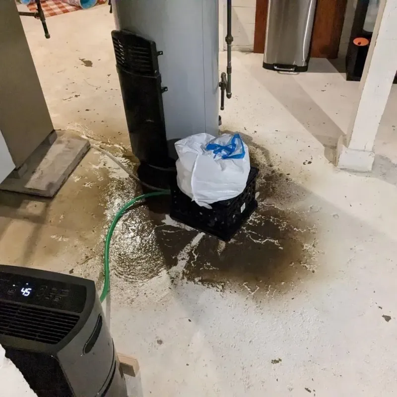 Sewage Backup Cleanup Service in Blackstone, VA